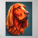 Suche nach irish setter poster Hund