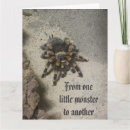 Suche nach große spinne postkarten Insekt