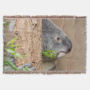 Suche nach koala decken Wunderbar