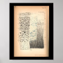 Suche nach menschliches nervensystem poster Gehirn