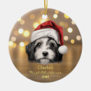 Suche nach havanese ornamente Tiere