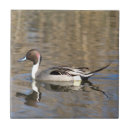 Suche nach teiche fliesen Vogelvogel