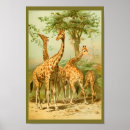 Suche nach tierkunst poster Natur