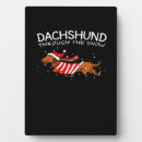 Suche nach schnee fotoplatten Tier