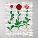 Suche nach nelke poster Karnell