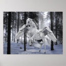 Suche nach pegasus poster Fantasie