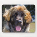 Suche nach glücklicher hund mousepads Fell