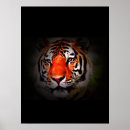 Suche nach tigergesicht poster Natur