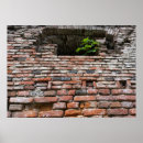 Suche nach altes fenster poster Wand