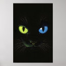 Suche nach katze mit grünen augen poster Süß