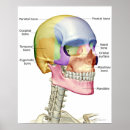 Suche nach nacke poster Arbeitsplakate