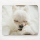 Suche nach mund mousepads Liebe
