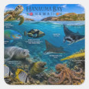 Suche nach waikiki aufkleber Hawaii