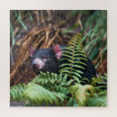 Suche nach farne puzzle Natur