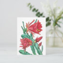 Suche nach blühender kaktus postkarten Blumen