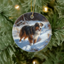 Suche nach weihnachten australien ornamente Jede person