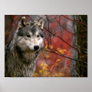 Suche nach wolf pack poster Hund