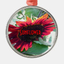 Suche nach sonnenblumen ornamente Jede person
