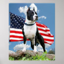Suche nach pitbulls poster Pittie