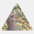Suche nach möve aufkleber Vogel