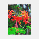 Suche nach medizin decken Blume
