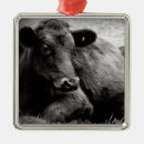 Suche nach rindfleisch ornamente Vieh