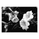 Suche nach bearbeiten poster Foto