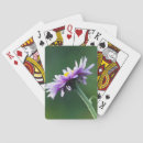 Suche nach ken spielkarten Wildblume