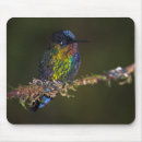 Suche nach costa mousepads Fotografie