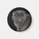 Suche nach kitt magnete Jede person