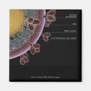 Suche nach zelle magnete Horizontal