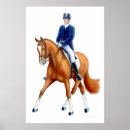 Suche nach dressage poster Pferde