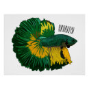 Suche nach fisch cartoon poster Betta