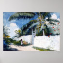 Suche nach nassau poster Palmen