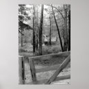 Suche nach weißes holz poster Wald