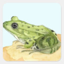 Suche nach grüner frosch aufkleber Aquarell