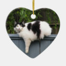 Suche nach schwarze miezekatze ornamente Haustiere