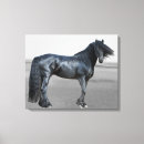 Suche nach schwarzer stallion Für alle
