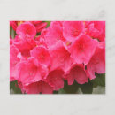 Suche nach flora postkarten Horizontal