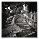 Suche nach treppe poster Schwarzweiss