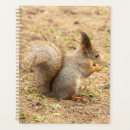 Suche nach natur planer Fotografie
