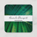 Suche nach exotisch visitenkarten Foto