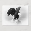 Suche nach adler im flug postkarten Tierwelt