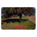 Suche nach apfelbaum magnete Für alle