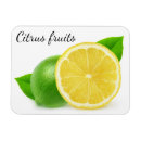 Suche nach limone magnete Obst