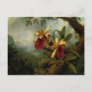 Suche nach martin johnson heade postkarten Vorhang
