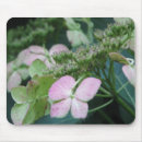 Suche nach hydrangea mousepads Rosa