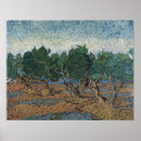 Suche nach olivenhain poster Van gogh