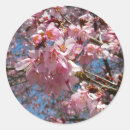 Suche nach kirschblüte blüte aufkleber Jede person