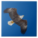 Suche nach die himmel fliesen Fliegen